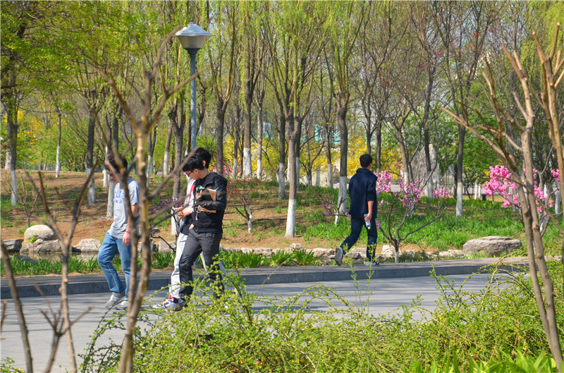 BG大游(中国)官方网站